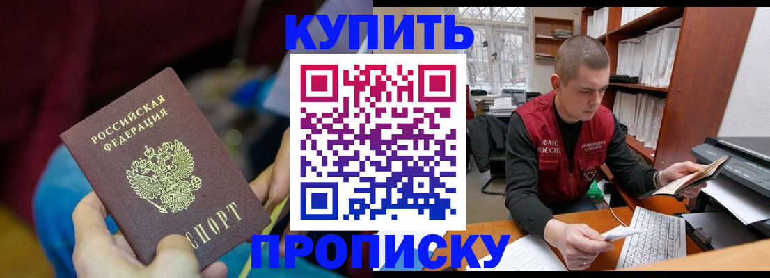 прописка иностранных граждан в Мурманской области